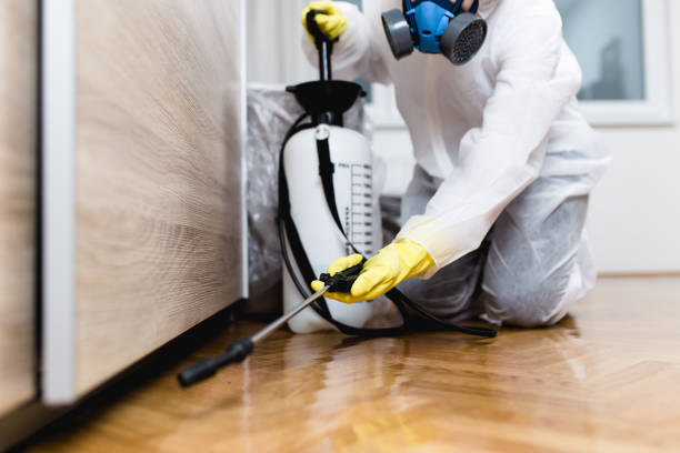 Best Termite Control Services  in Prairie City, IA