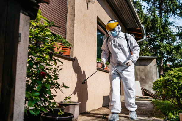 Best Pest Prevention Services  in Prairie City, IA