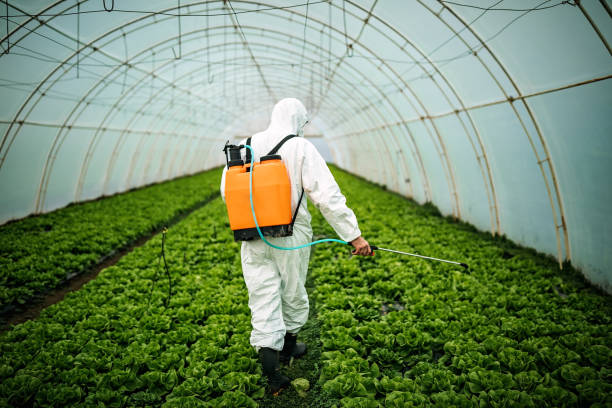 Best Local Pest Control Services  in Prairie City, IA