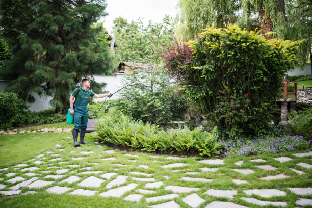 Professional Pest Control in Prairie City, IA