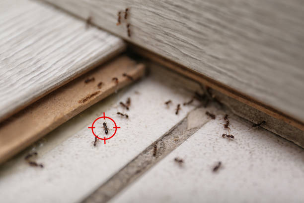 Best Wildlife Control Services  in Prairie City, IA
