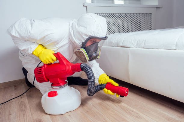 Best Pest Inspection Near Me  in Prairie City, IA