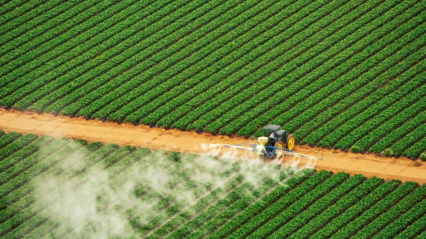 Best Mosquito Control Services  in Prairie City, IA