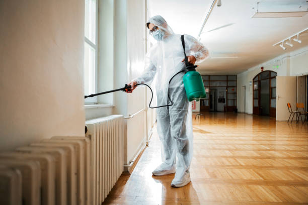 Best Bed Bug Extermination  in Prairie City, IA